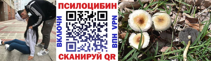 Галлюциногенные грибы Cubensis  Михайловка 